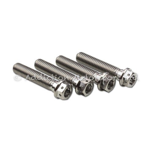 Titanium front fork - 4x,