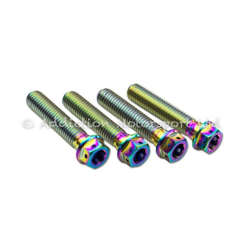 Rainbow titanium front fork - titanium,