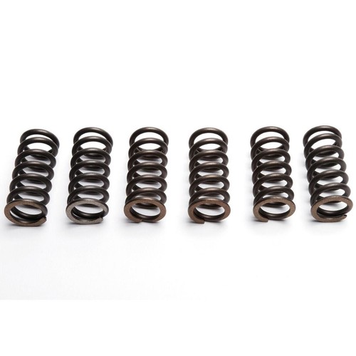 Ebc clutch spring set - set, (6