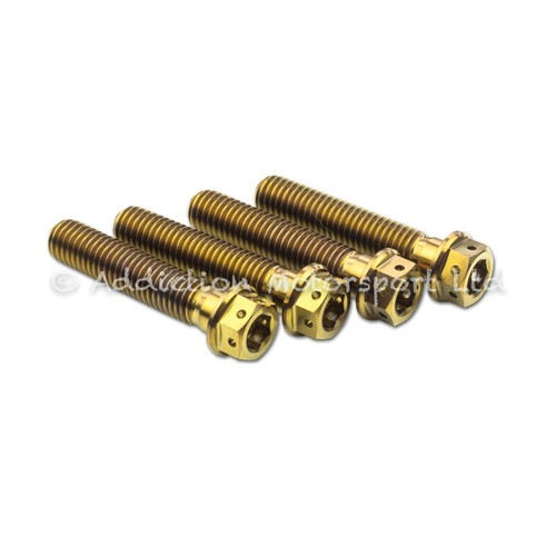 Bronze titanium front fork - 4x,